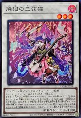 燐廻の三弦猫【スーパー】{25DB-JP036}《シンクロ》