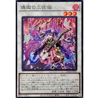 燐廻の三弦猫【スーパー】{25DB-JP036}《シンクロ》