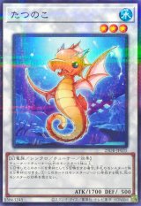 たつのこ【ノーマルパラレル】{25DB-JP035}《シンクロ》