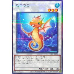 画像1: たつのこ【ノーマルパラレル】{25DB-JP035}《シンクロ》