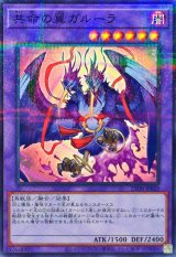 共命の翼ガルーラ【ノーマルパラレル】{25DB-JP029}《融合》