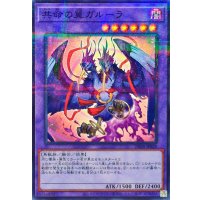 共命の翼ガルーラ【ノーマルパラレル】{25DB-JP029}《融合》