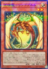 百檎龍リンゴブルム【ノーマルパラレル】{25DB-JP020}《モンスター》