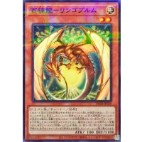 百檎龍リンゴブルム【ノーマルパラレル】{25DB-JP020}《モンスター》