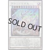 〔状態B〕青眼の究極霊竜(ロゴ)【シークレット】{25LP-JP020}《シンクロ》