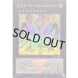 〔状態A-〕炎王神ガルドニクスエタニティ(ロゴ)【ウルトラ】{25LP-JP003}《エクシーズ》