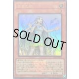 白き乙女(ロゴ)【ウルトラ】{25LP-JP018}《モンスター》