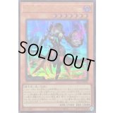 黒魔女ディアベルスター【ウルトラ】{25LP-JP001}《モンスター》