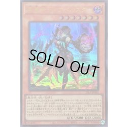 画像1: 黒魔女ディアベルスター【ウルトラ】{25LP-JP001}《モンスター》