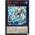 SNo37スパイダーシャーク【ノーマルパラレル】{25PP-JP010}《エクシーズ》