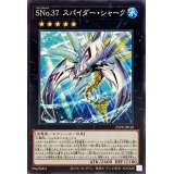 SNo37スパイダーシャーク【ノーマル】{25PP-JP010}《エクシーズ》