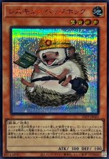 〔状態A-〕レスキューヘッジホッグ【シークレットSPECIAL RED Ver.】{25PP-JP025}《モンスター》
