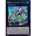 〔状態A-〕☆アジア☆SNo37スパイダーシャーク【シークレット】{アジア25PP-JP010}《エクシーズ》