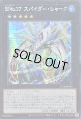 ☆アジア☆SNo37スパイダーシャーク【シークレット】{アジア25PP-JP010}《エクシーズ》