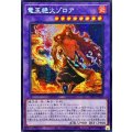 ☆アジア☆竜王絶火ゾロア【シークレット】{アジア25PP-JP018}《融合》