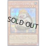 ☆アジア☆レスキューヘッジホッグ【シークレット】{アジア25PP-JP025}《モンスター》