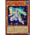 ☆アジア☆アイスドール【シークレット】{アジア25PP-JP004}《モンスター》