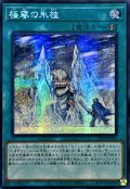 ☆アジア☆極寒の氷柱【シークレット】{アジア25PP-JP005}《魔法》