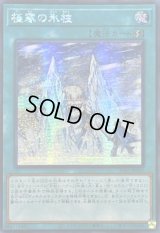 ☆アジア☆極寒の氷柱【シークレット】{アジア25PP-JP005}《魔法》