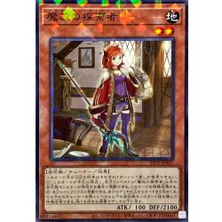 画像1: 魔救の探索者【ノーマルパラレル】{25TP-JP307}《モンスター》