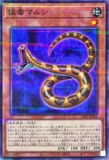 猛毒マムシ【ノーマルパラレル】{26PP-JP005}《モンスター》