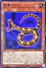 猛毒マムシ【ノーマル】{26PP-JP005}《モンスター》