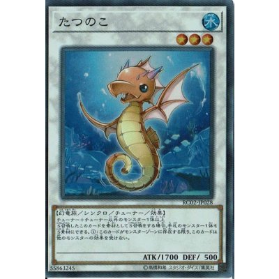 〔状態B〕たつのこ【シークレット】{RC02-JP028}《シンクロ》