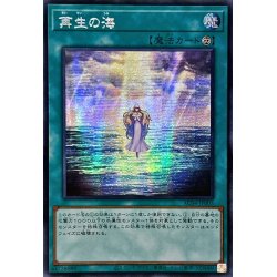 画像1: ☆アジア☆再生の海【シークレット】{アジアAC04-JP005}《魔法》