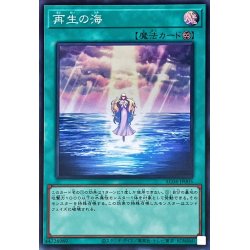 画像1: 再生の海【スーパー】{AC04-JP005}《魔法》
