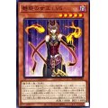 魅惑の女王LV5【ノーマル】{AC04-JP058}《モンスター》