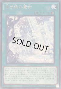 〔状態B〕白き森の魔女【レア】{ALIN-JP058}《魔法》