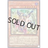 〔状態B〕魔術師の弟子ブラックマジシャンガール【シークレット】{ALIN-JP004}《モンスター》