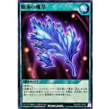 樹海の魔草【ノーマル】{RD/AP02-JP042}《RD魔法》