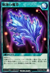 樹海の魔草【ノーマル】{RD/AP02-JP042}《RD魔法》