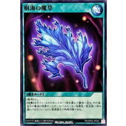 画像1: 樹海の魔草【ノーマル】{RD/AP02-JP042}《RD魔法》