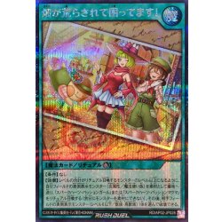 画像1: 畑が荒らされて困ってます!【シークレット】{RD/AP02-JP028}《RD魔法》