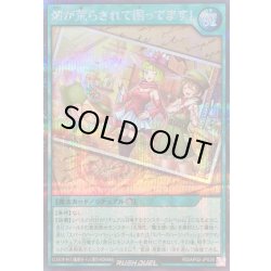 画像1: 〔状態A-〕畑が荒らされて困ってます!【シークレット】{RD/AP02-JP028}《RD魔法》