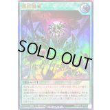 〔状態B〕髑巌襲来【ウルトラ】{RD/AP02-JP015}《RD魔法》