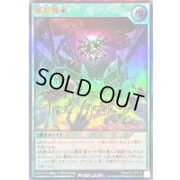 〔状態B〕髑巌襲来【ウルトラ】{RD/AP02-JP015}《RD魔法》