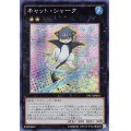 〔状態B〕☆アジア☆キャットシャーク【シークレット】{アジアPP17-JP016}《エクシーズ》