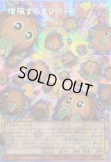 ☆アジア☆増殖するクリボー!【OFプリズマティックシークレット】{アジアLOCH-JP002}《モンスター》