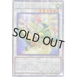 〔状態B〕☆アジア☆ダイガスタラプラムピリカ【プリズマティックシークレット】{アジアDAMA-JP040}《シンクロ》