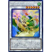 〔状態A-〕☆アジア☆ダイガスタラプラムピリカ【シークレット】{アジアDAMA-JP040}《シンクロ》