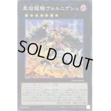 ☆アジア☆黒熔龍騎ヴォルニゲシュ【シークレット】{アジアDAMA-JP045}《エクシーズ》