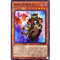 熟練の栗魔導士【ノーマル】{BACH-JP024}《モンスター》