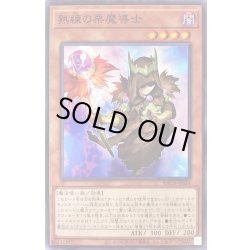 画像1: 熟練の栗魔導士【ノーマル】{BACH-JP024}《モンスター》