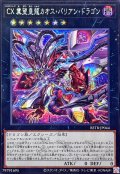 CX冀望皇龍カオスバリアンドラゴン【シークレット】{BETB-JP044}《エクシーズ》