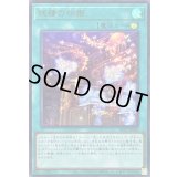 〔状態B〕妖精の伝姫【ウルトラ】{BLZD-JPS20}《魔法》