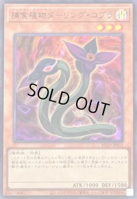 〔状態A-〕捕食植物ダーリングコブラ【ウルトラ】{BLZD-JPS11}《モンスター》