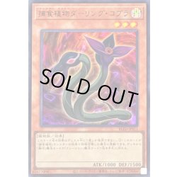 画像1: 〔状態A-〕捕食植物ダーリングコブラ【ウルトラ】{BLZD-JPS11}《モンスター》